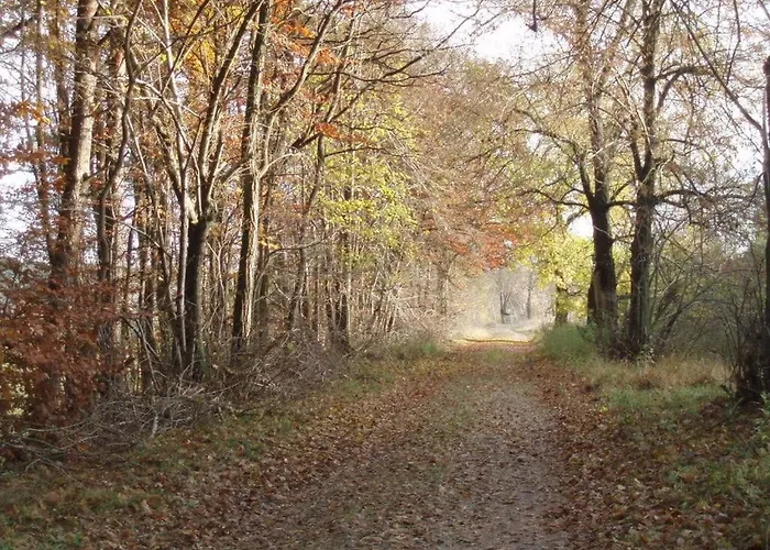 Peter Lassau Modern Retreat *